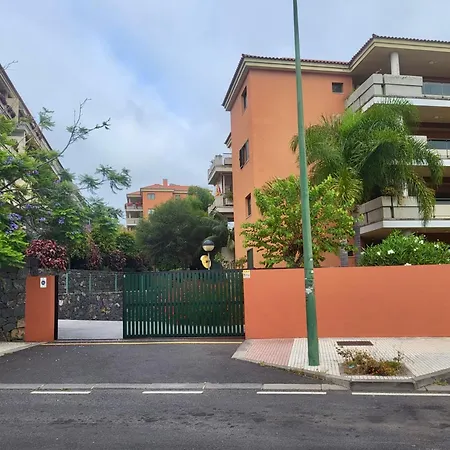 Retama Del Teide, Puerto de la Cruz (Tenerife)