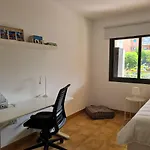 Retama Del Teide, *